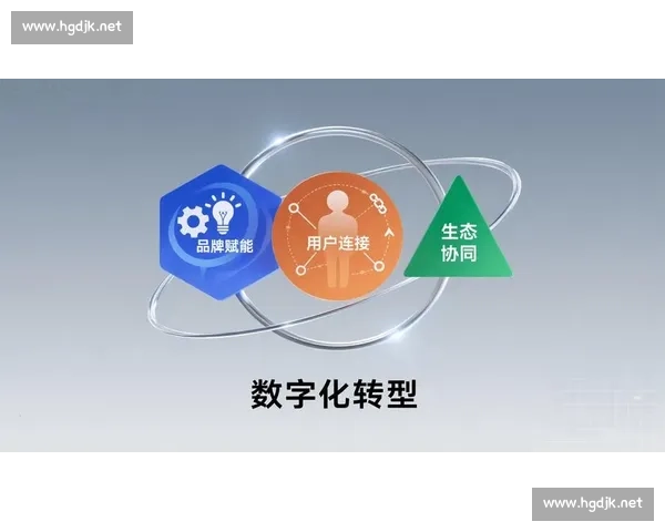 以渠道拓展为核心驱动业务增长与市场布局升级新路径探索实践与创新